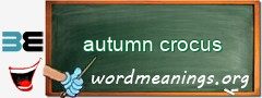 WordMeaning blackboard for autumn crocus